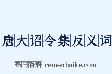 唐大诏令集反义词是什么意思的图片